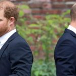 Sinyal Damai Pangeran William dan Harry