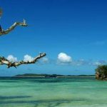 12 Surga Biru Kupang! Pantai di NTT dengan Air Terjernih