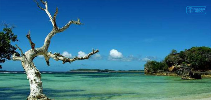 12 Surga Biru Kupang! Pantai di NTT dengan Air Terjernih