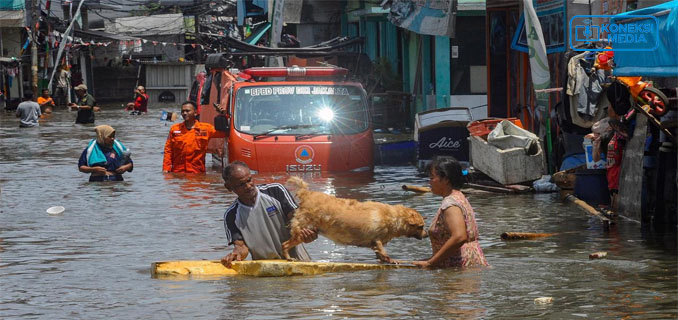 Banjir Rob Rendam 23 RT dan 2 Jalan Utama Jakarta Utara