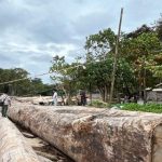 Kayu Terdampar Pascabanjir Dimanfaatkan Warga untuk Pemulihan