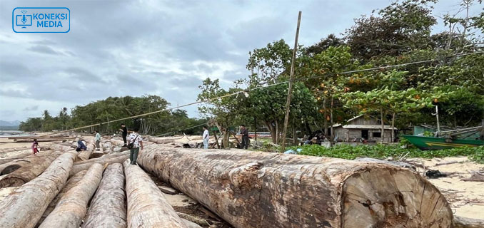 Kayu Terdampar Pascabanjir Dimanfaatkan Warga untuk Pemulihan