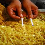 Temuan Mi Kuning Mengandung Zat Berbahaya di Jakarta Selatan